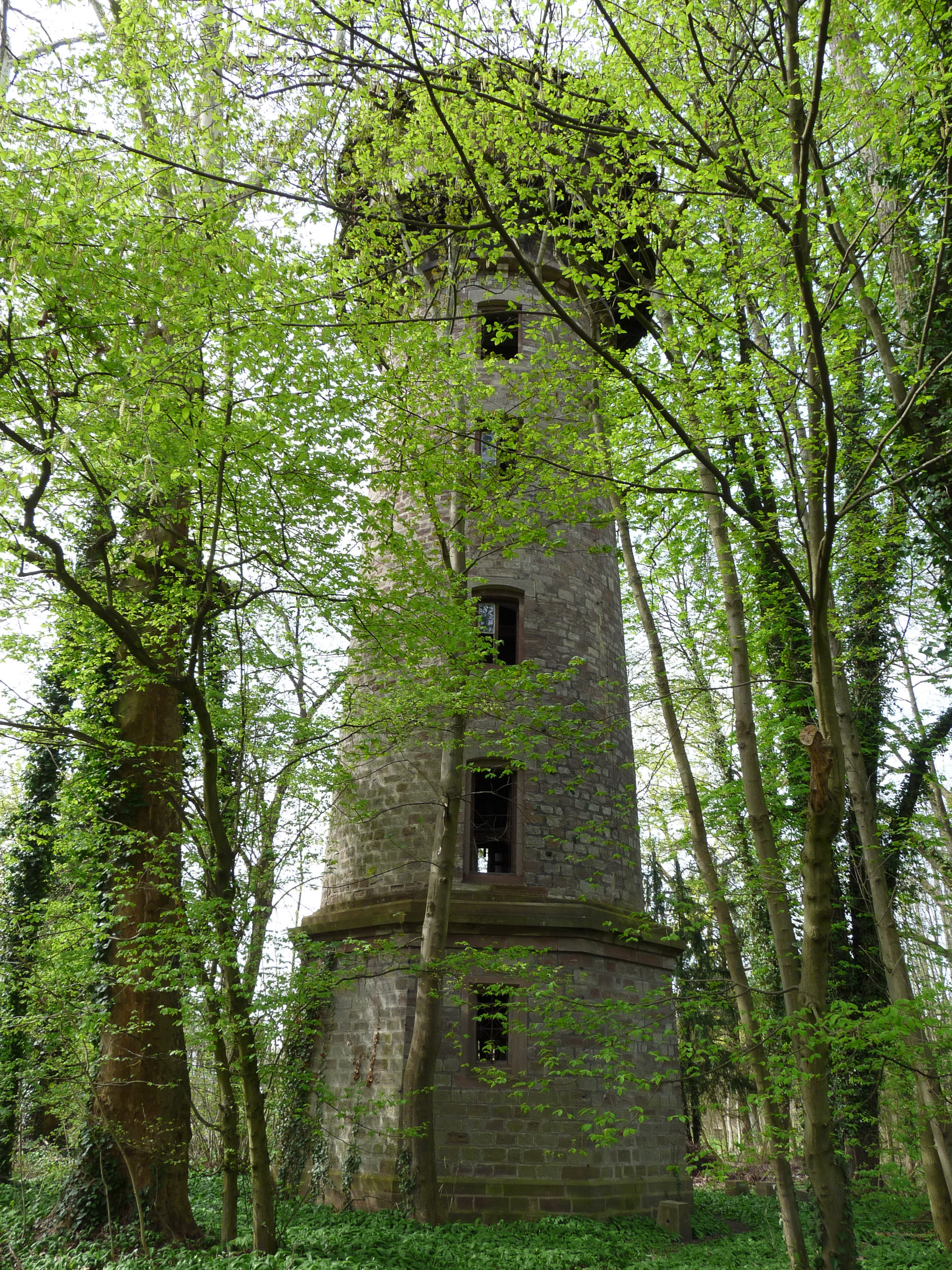 20180414151800 P1110058